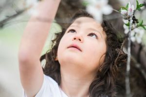 Child gazing upward with wonder among spring blossoms and soft natural light.