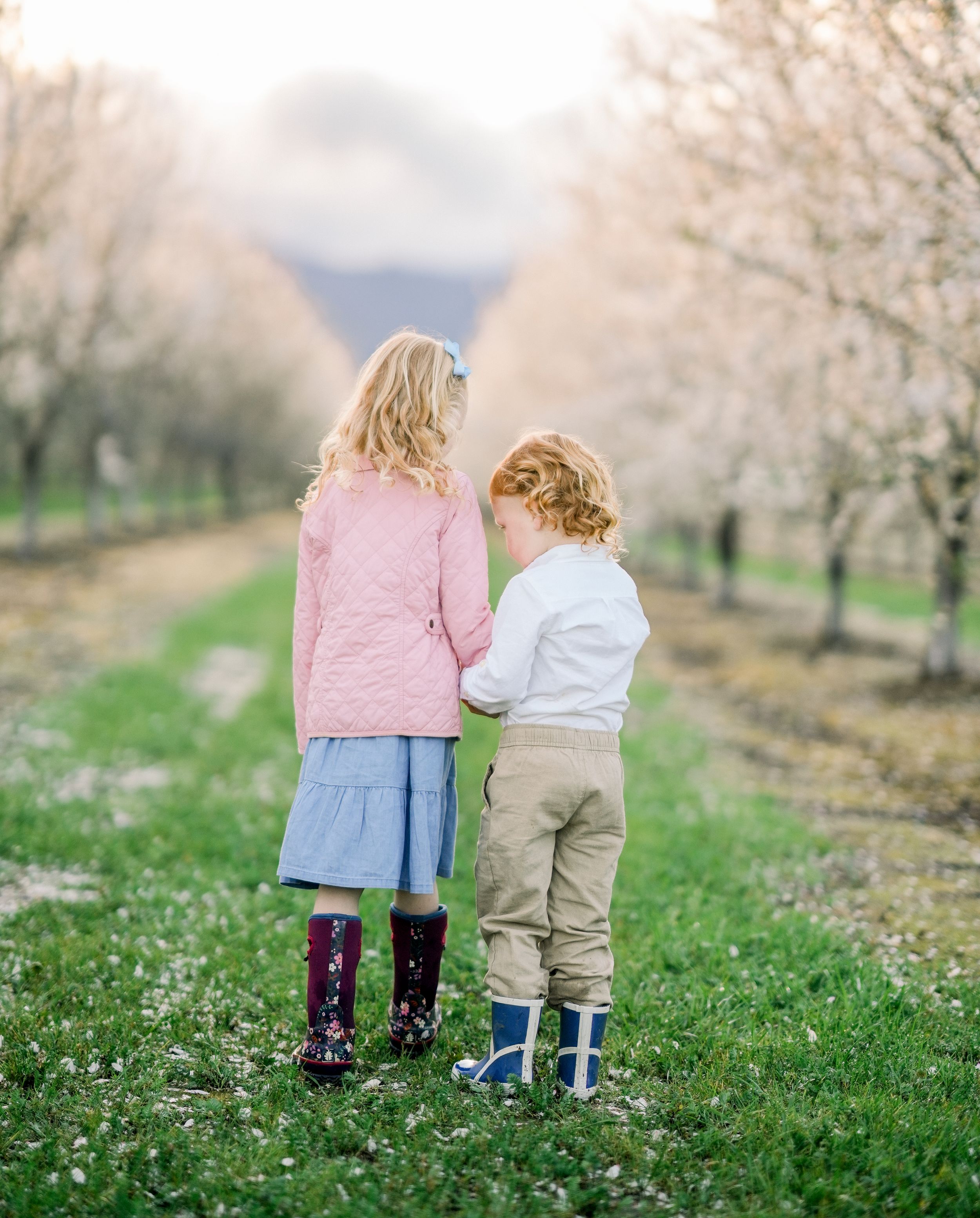 Two people viewing blooming spring orchard trees in soft evening light.