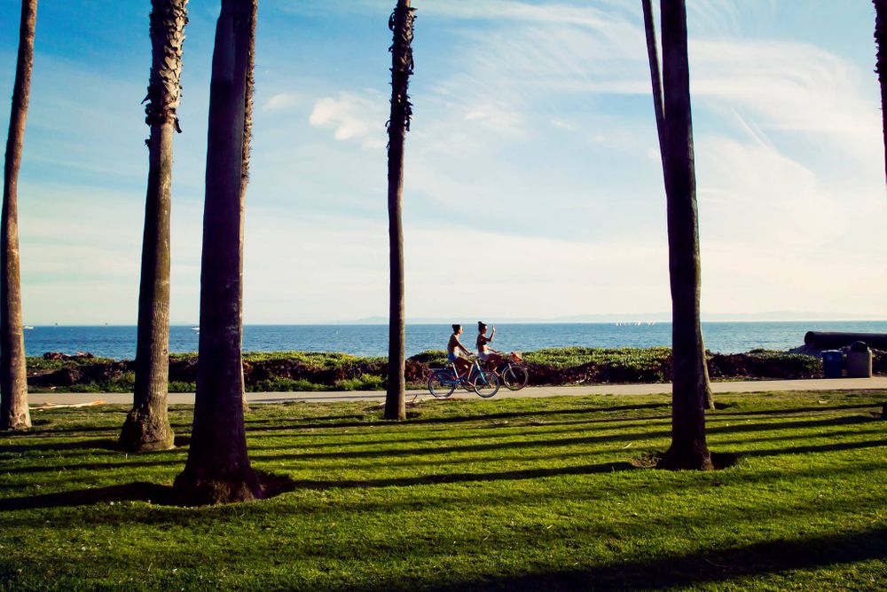 Palm trees frame an oceanfront path with cyclists enjoying the coastal view on a sunny day.