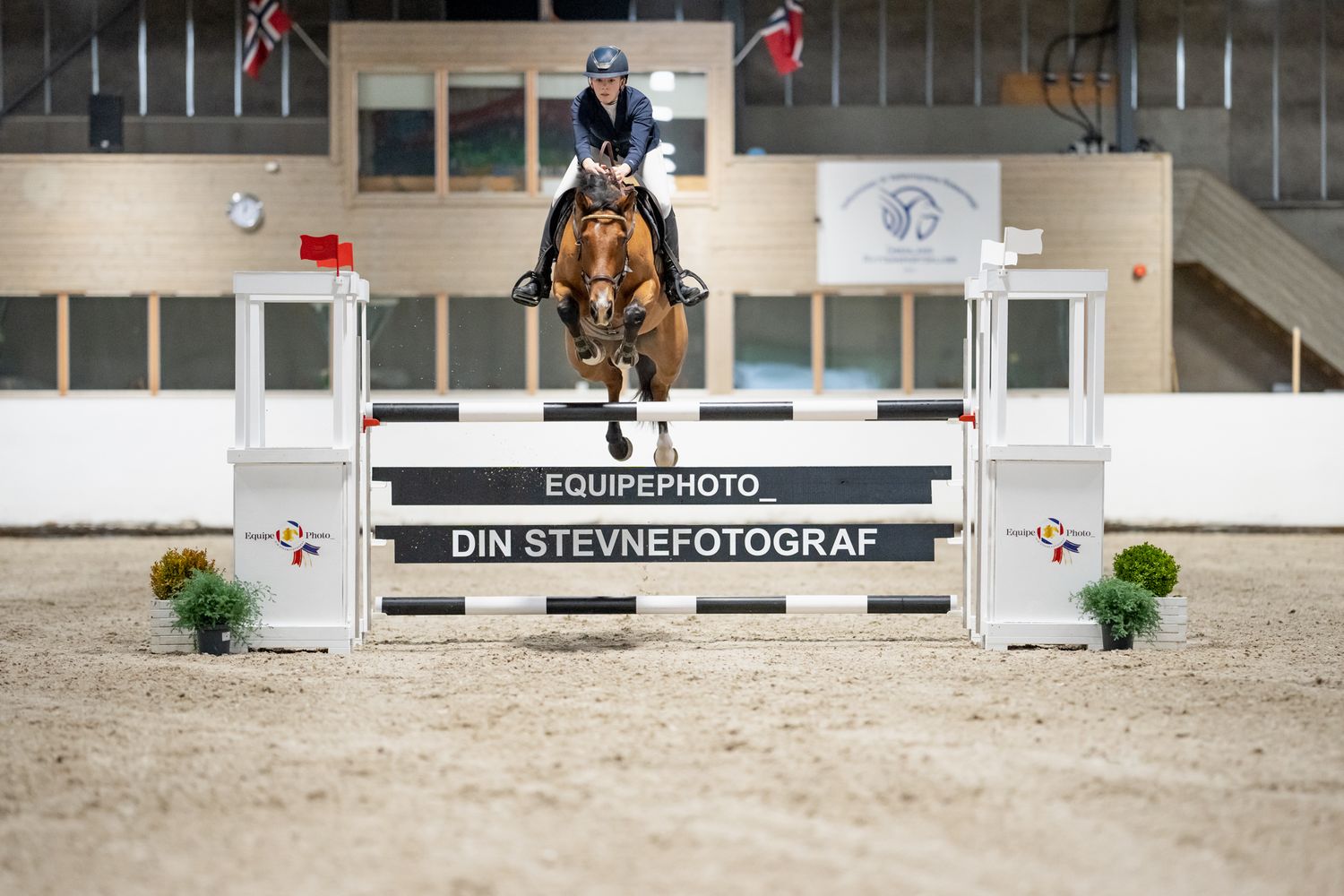 A horse and rider clearing a show jumping obstacle in an indoor arena.