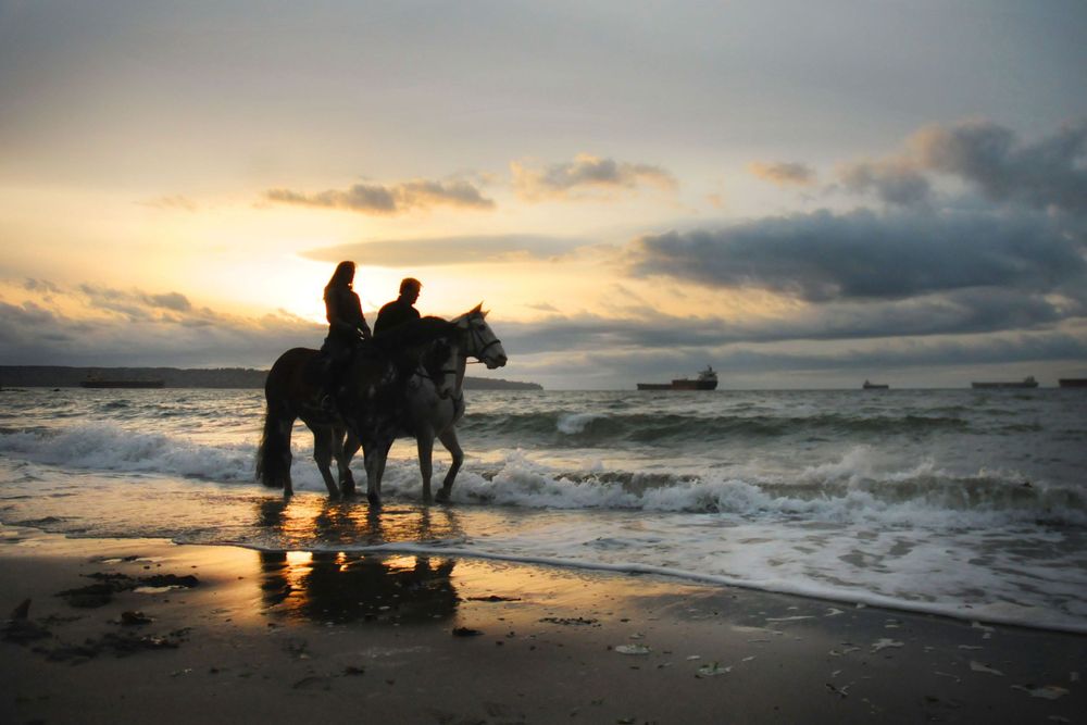 Dramatic beach sunset with horses and riders creating silhouettes against crashing waves.