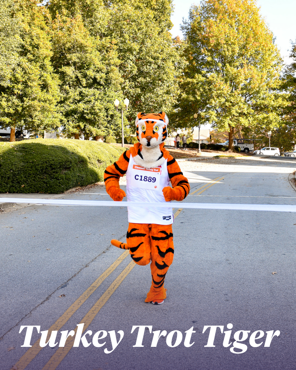 Clemson mascot in athletic gear participating in a Turkey Trot running event.