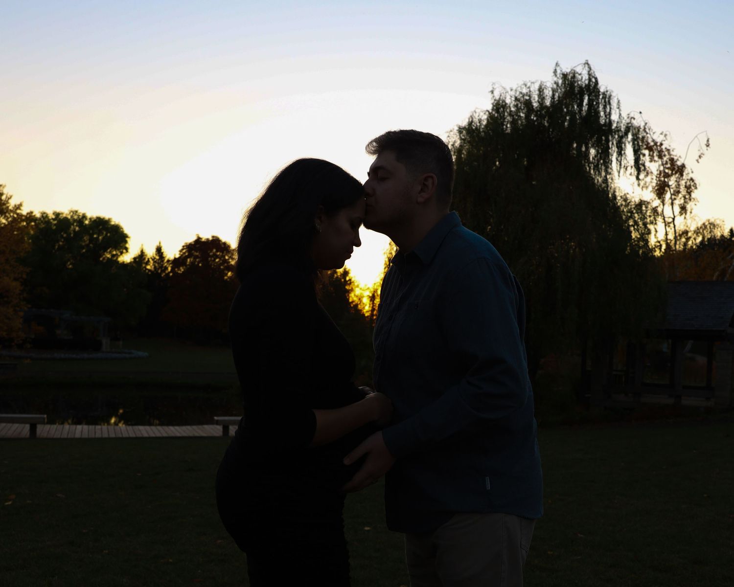 Romantic silhouette of couple embracing at sunset with willow tree in background.