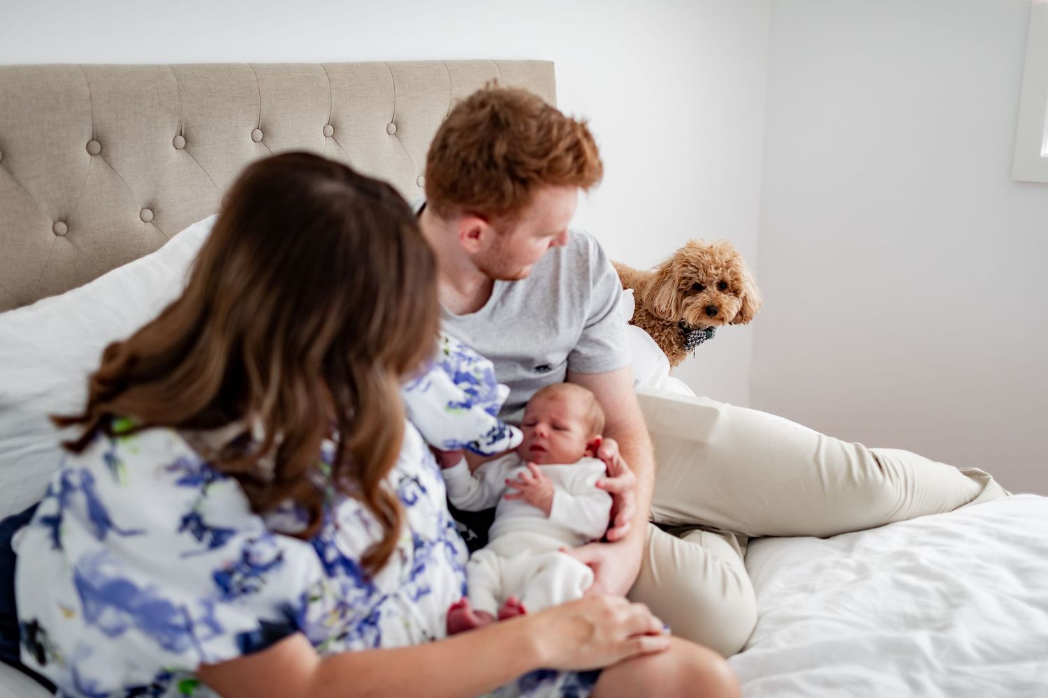Family and small dog sharing tender moment with newborn on grey upholstered bed.