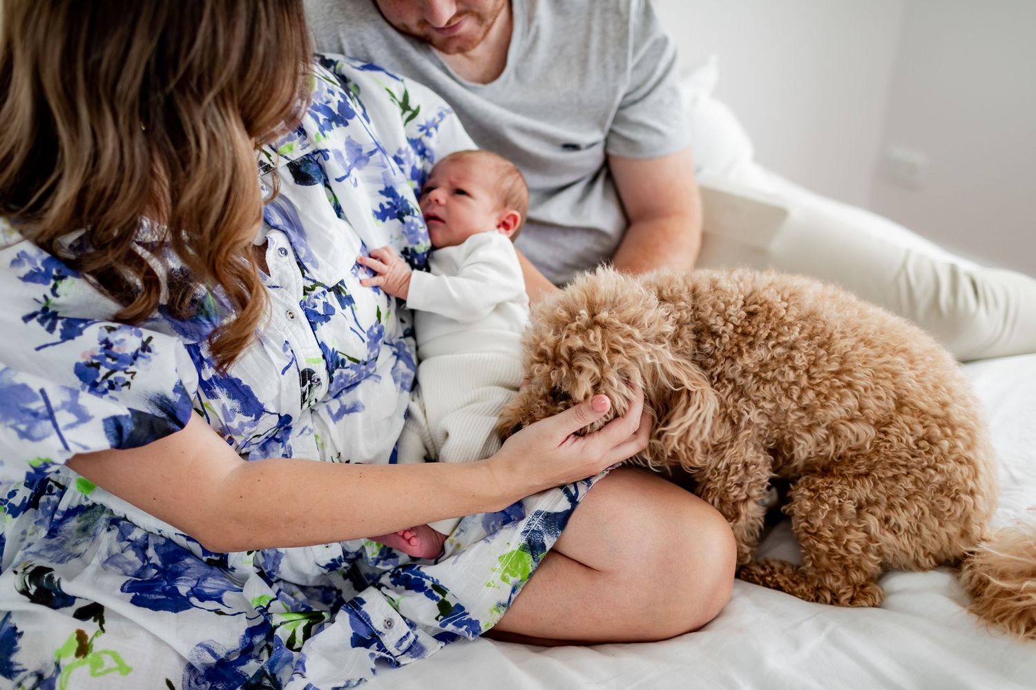 A fluffy goldendoodle dog joins a family moment on a white couch as they welcome their newborn baby.