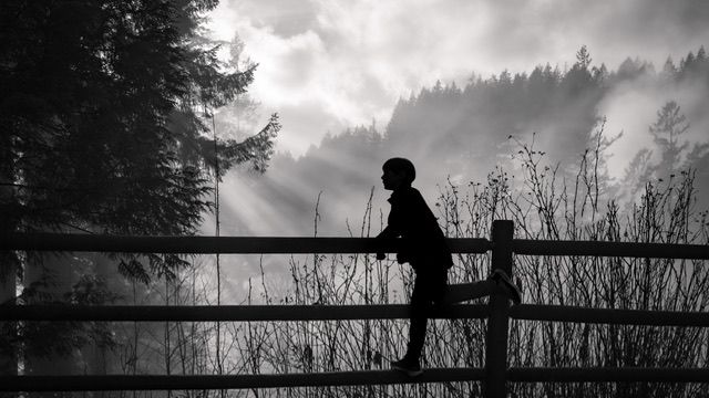 Black and white silhouette of person on suspension bridge in forest, Capilano river Cleveland Dam, North Vancouver