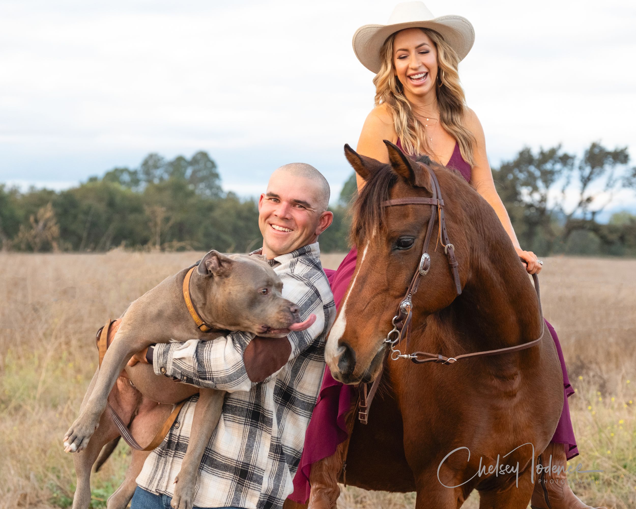 horse and dog in family photos in the fall weather