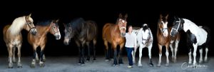 Kelley posing with her vaulting horses at Tambourine Vaulters in Petaluma