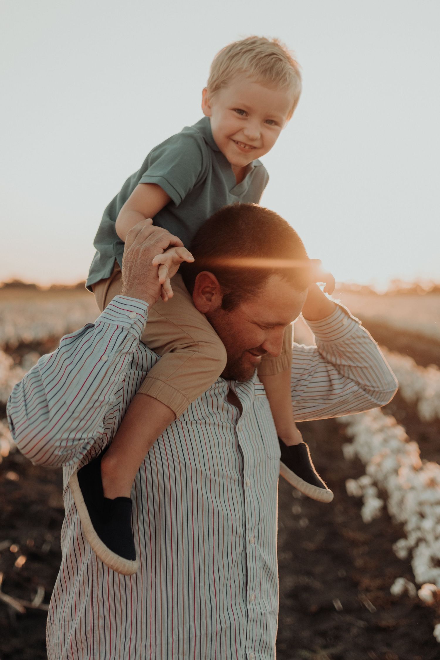 Father carries child on shoulders in cotton field during sunset.