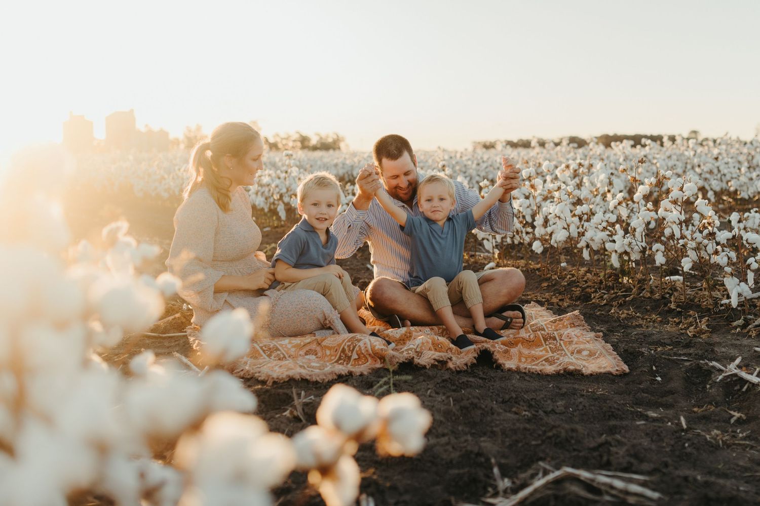 Family sits together in cotton field during golden hour sunset.