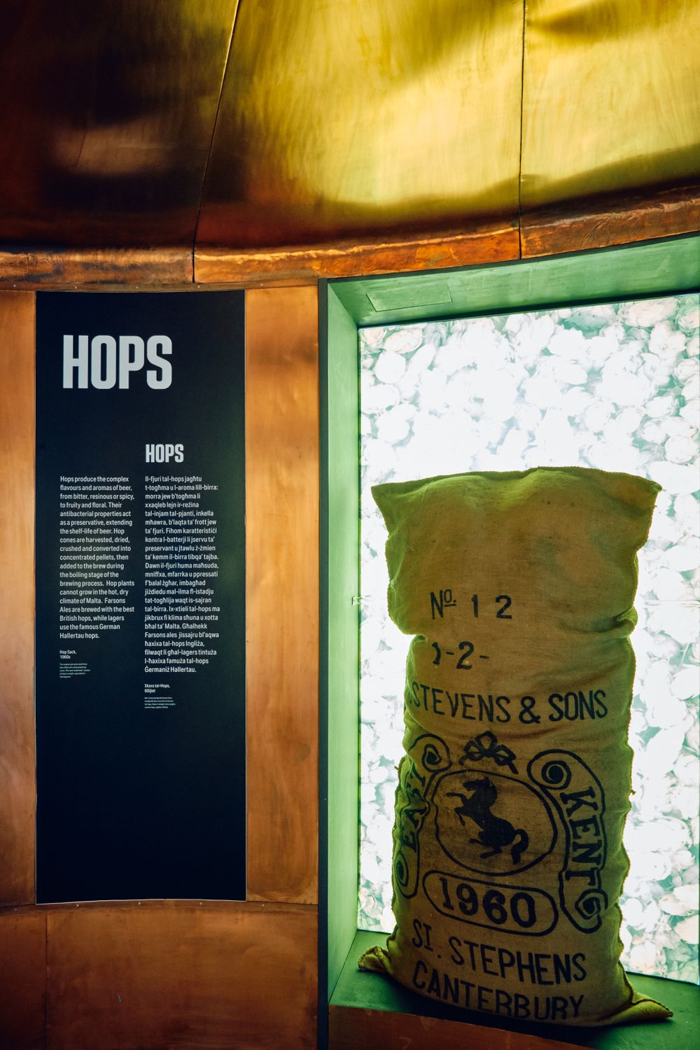 Vintage burlap hops bag from Stephens & Sons Canterbury displayed in a museum exhibit about beer ingredients.