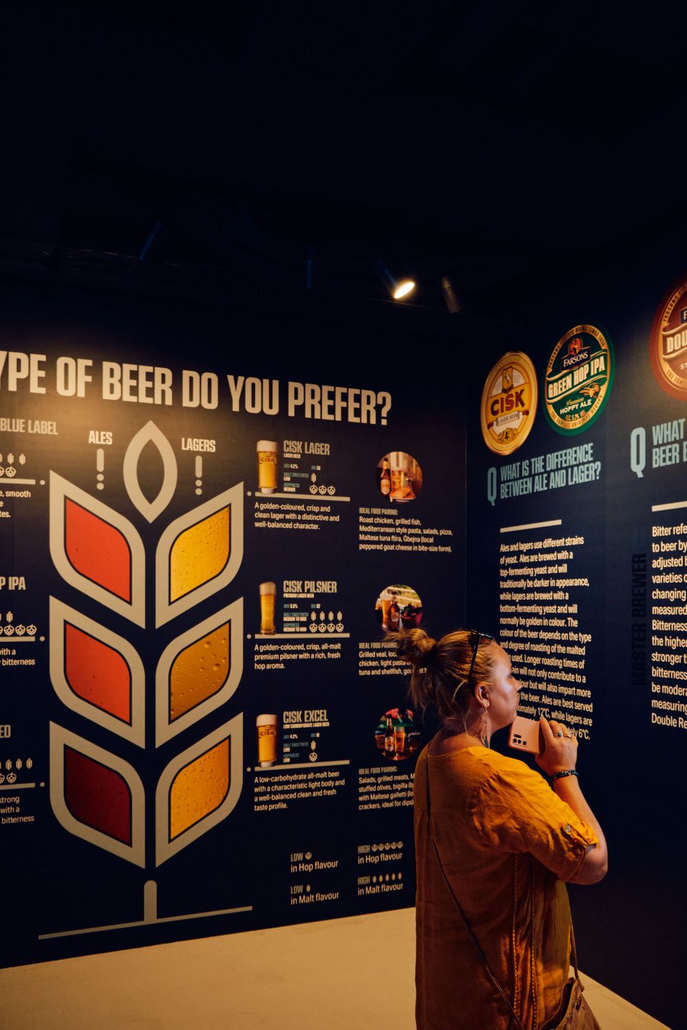 Educational display showing different types of beer with a stylized grain illustration on dark wall.