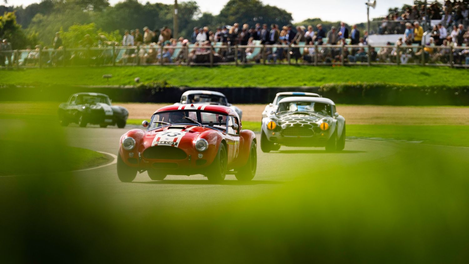 Vintage race cars competing on a grass-lined track during a historic motorsport event.