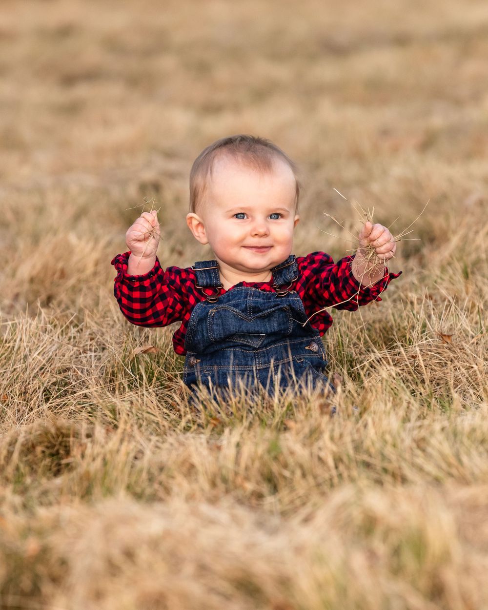 family photographer in New Hampshire