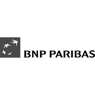 BNP Paribas bank logo featuring flying birds symbol and black text.