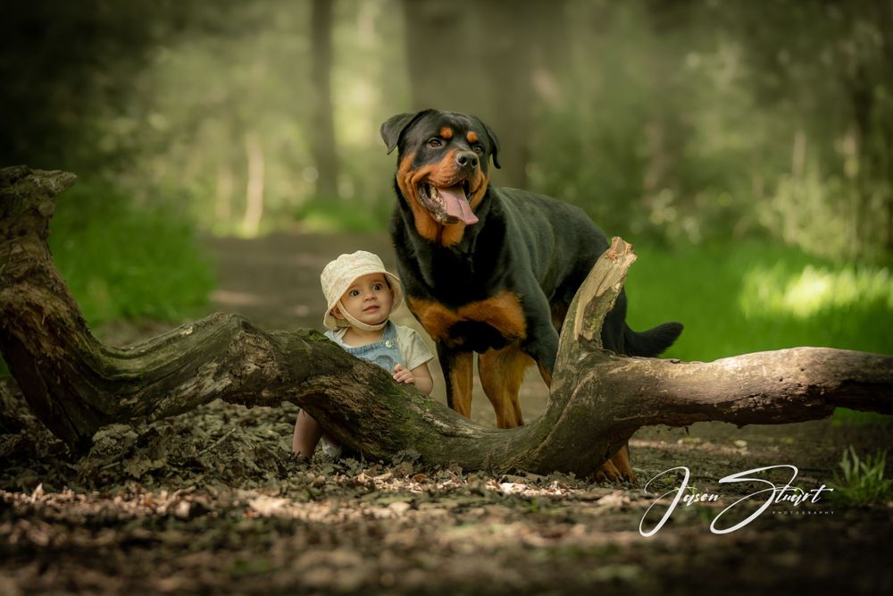 Jason Stuart Photography , West Yorkshire Wedding Photographer- Family Photography