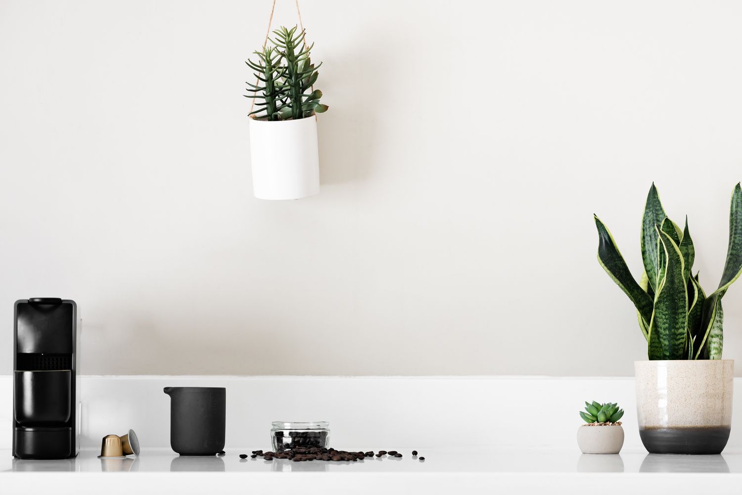 Minimal kitchen countertop with coffee pod machine, plants and coffee beans, airbnb photos, holiday lets,