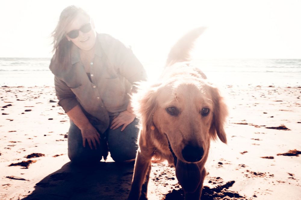End of Life, Pets, Dogs, Senior Dogs, Palliative Care, Celebration of Life, Passing, Rainbow Bridge, Death, Loved Ones, Photoshoots, Love