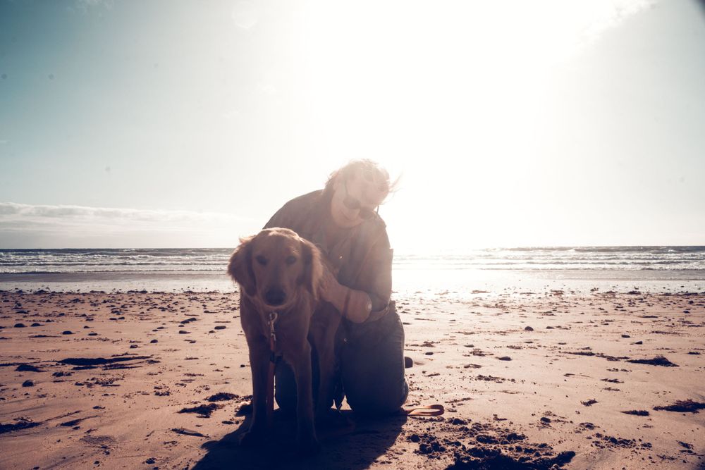 End of Life, Pets, Dogs, Senior Dogs, Palliative Care, Celebration of Life, Passing, Rainbow Bridge, Death, Loved Ones, Photoshoots, Love