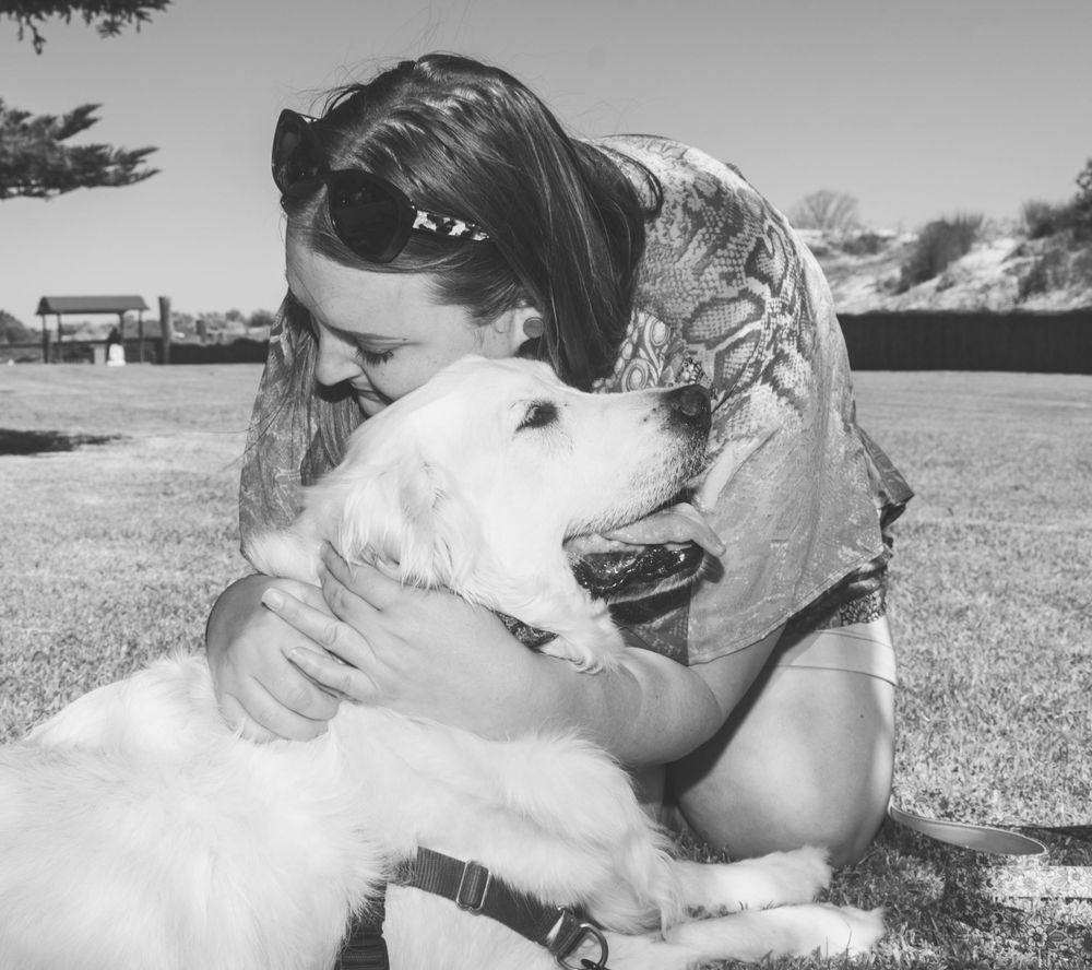 End of Life, Pets, Dogs, Senior Dogs, Palliative Care, Celebration of Life, Passing, Rainbow Bridge, Death, Loved Ones, Photoshoots, Love