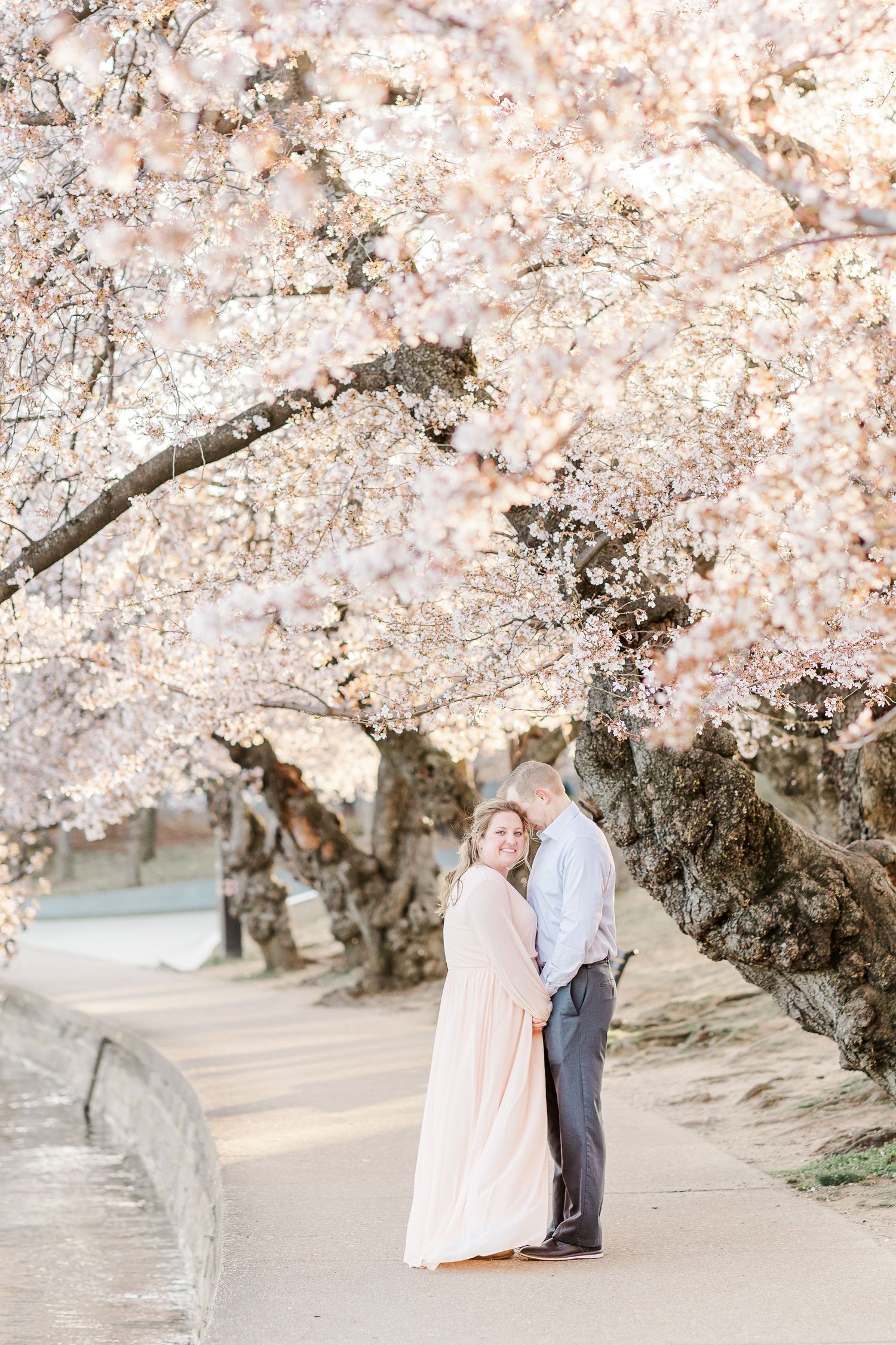 WASHINGTON DC CHERRY BLOSSOM ENGAGEMENT PICTURES