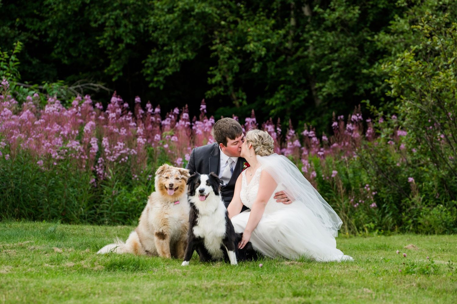 Three dogs pose with a couple on their wedding day in front of beautiful purple wildflowers in a garden setting.