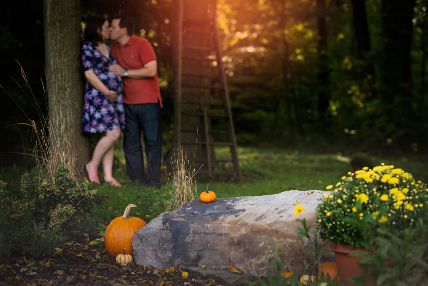 Fall maternity lancaster pa manheim pa fall