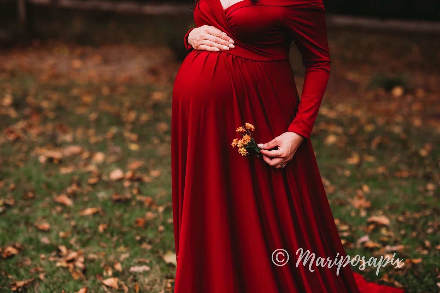outdoor maternity in red dress fall