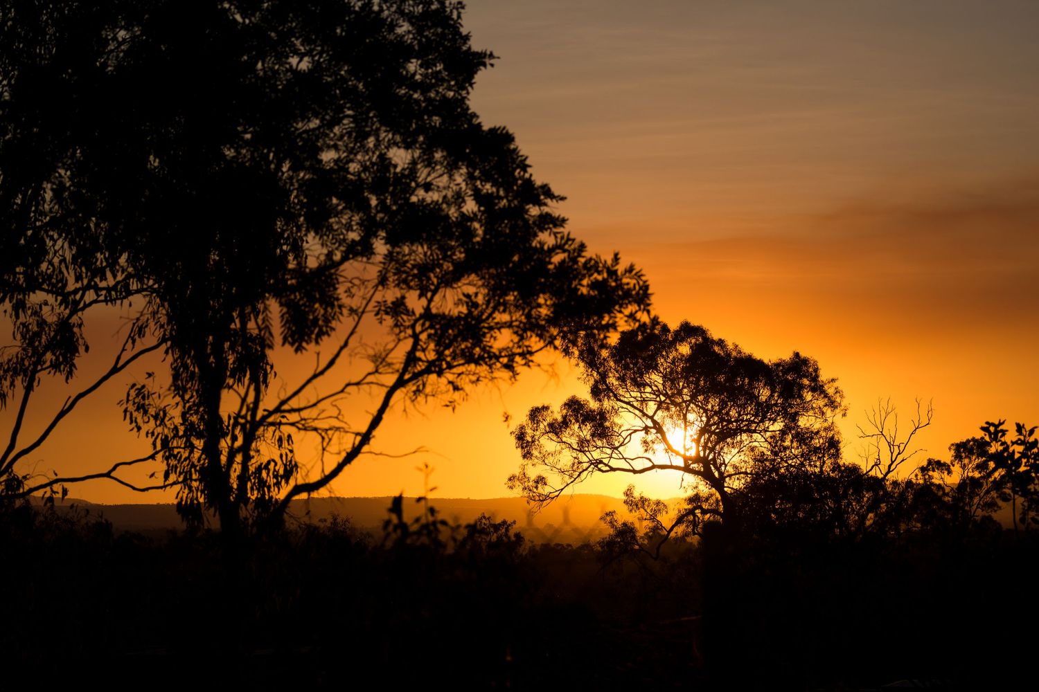 Golden sunset over a dark silhouetted landscape with trees against an orange horizon.