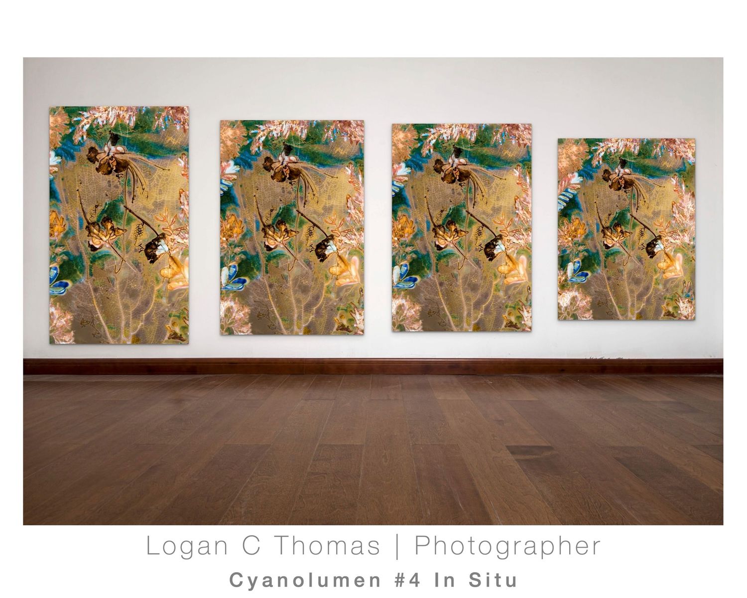 A mockup showing the various sizes and ratios of a cyanolumen print by Fine artist Logan C Thomas Barbados for QP Bistro