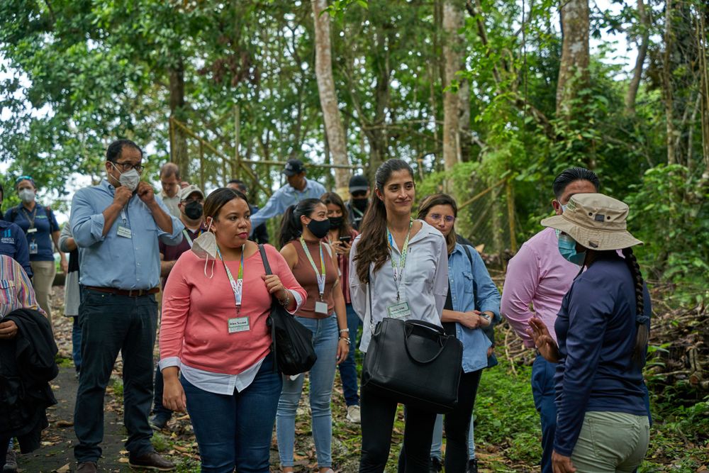 Group of people exploring a wooded trail while participating in an outdoor guided tour.