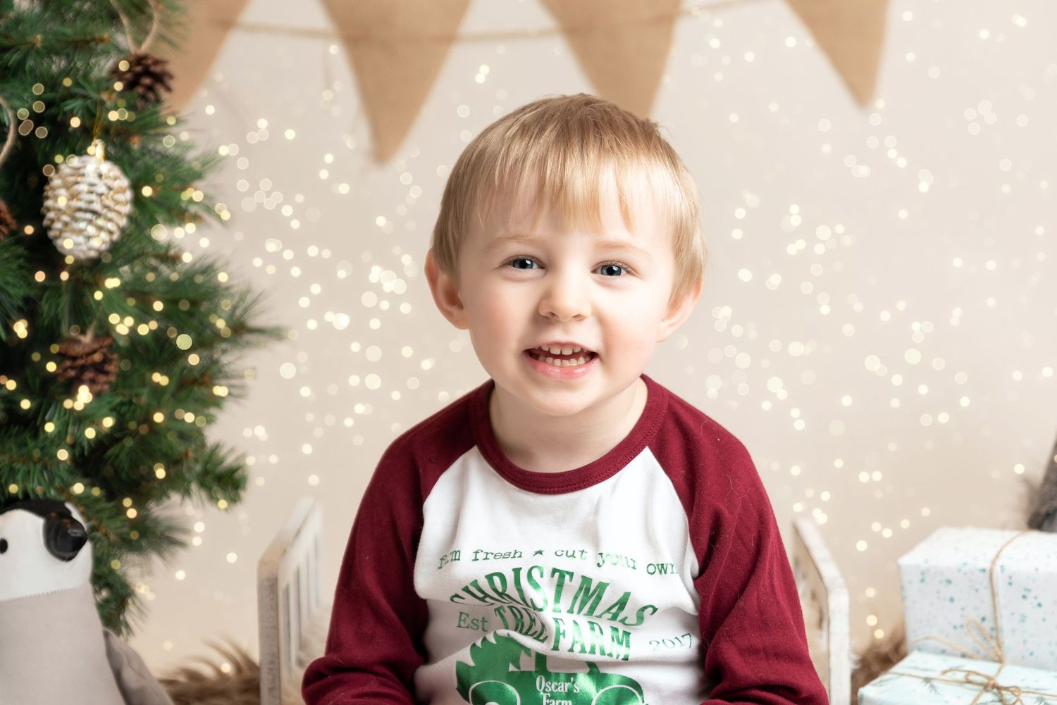 Christmas Mini Winter Wonderland