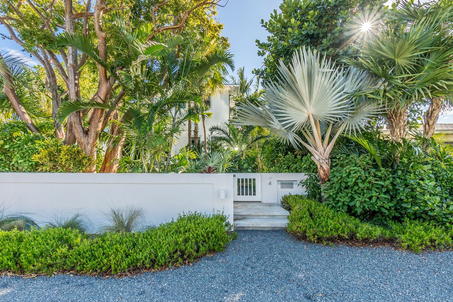 Landscaped tropical garden pathway with palm trees and ornamental plants.