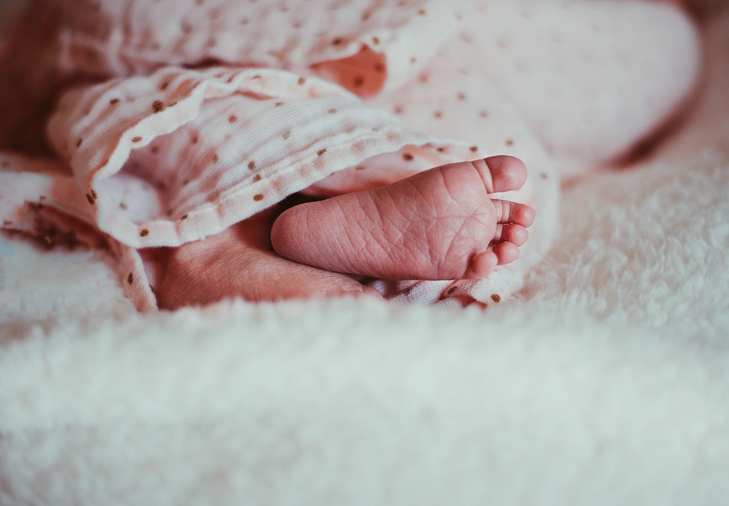 Newborn baby feet and baby toes wrapped in swaddle blanket on soft white blanket