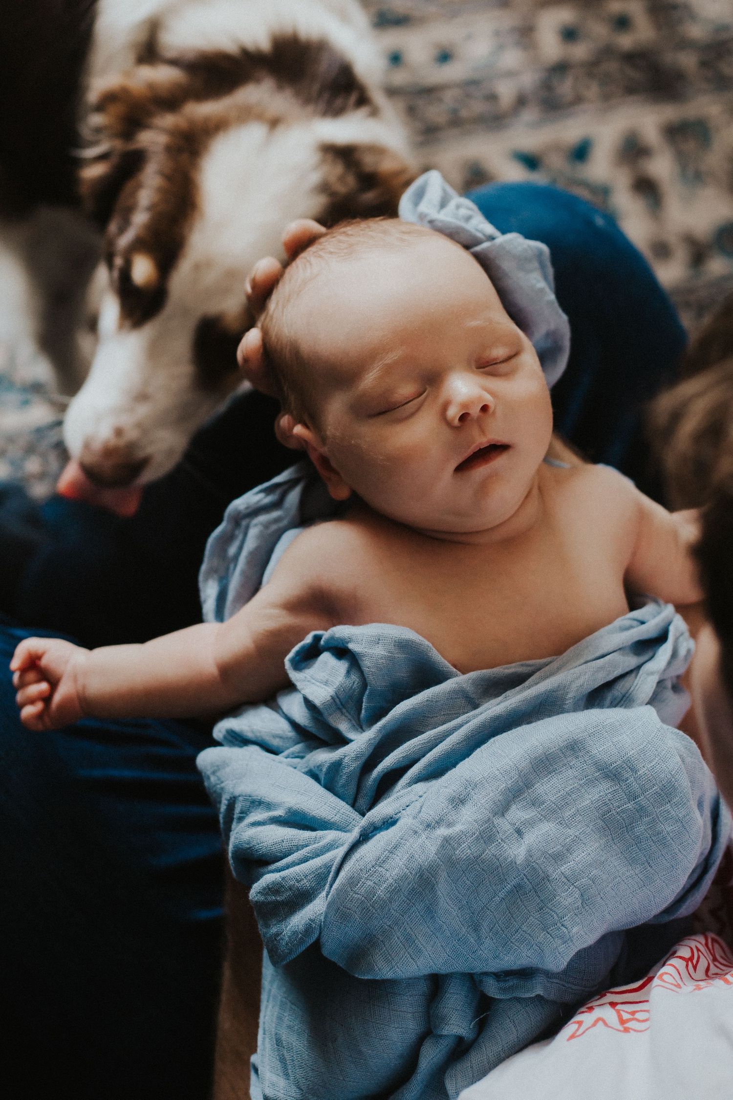 Dad holds baby boy in his hands while dog looks on