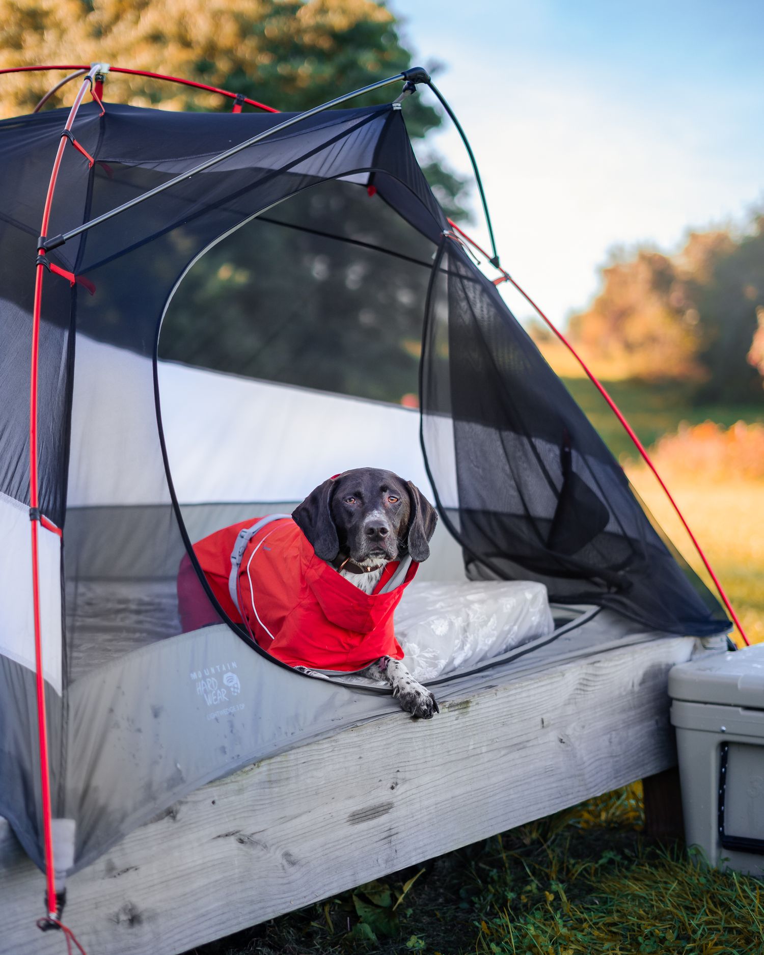 How We Do Car Camping Adventures with Willow