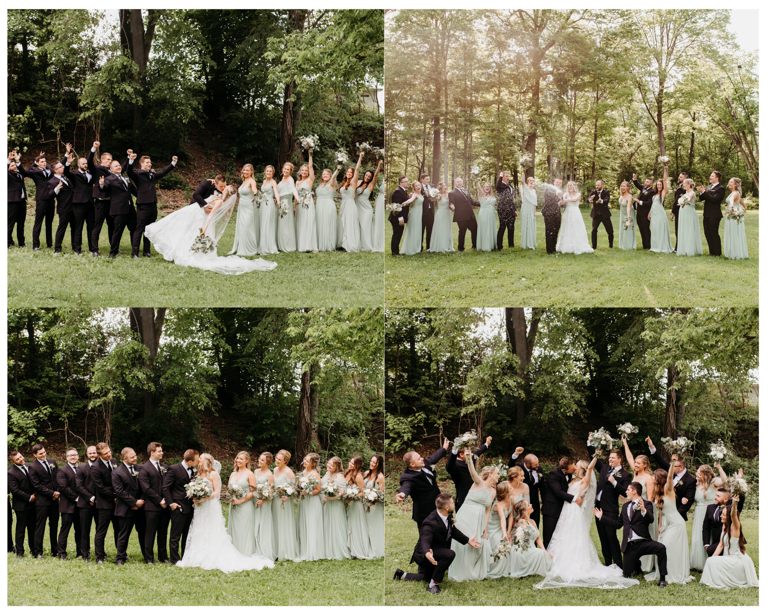 Ohio Photographer, Ohio Wedding, Wedding Photos, Bridal Party Photos, Meadowbrook Park, Wedding Portraits,