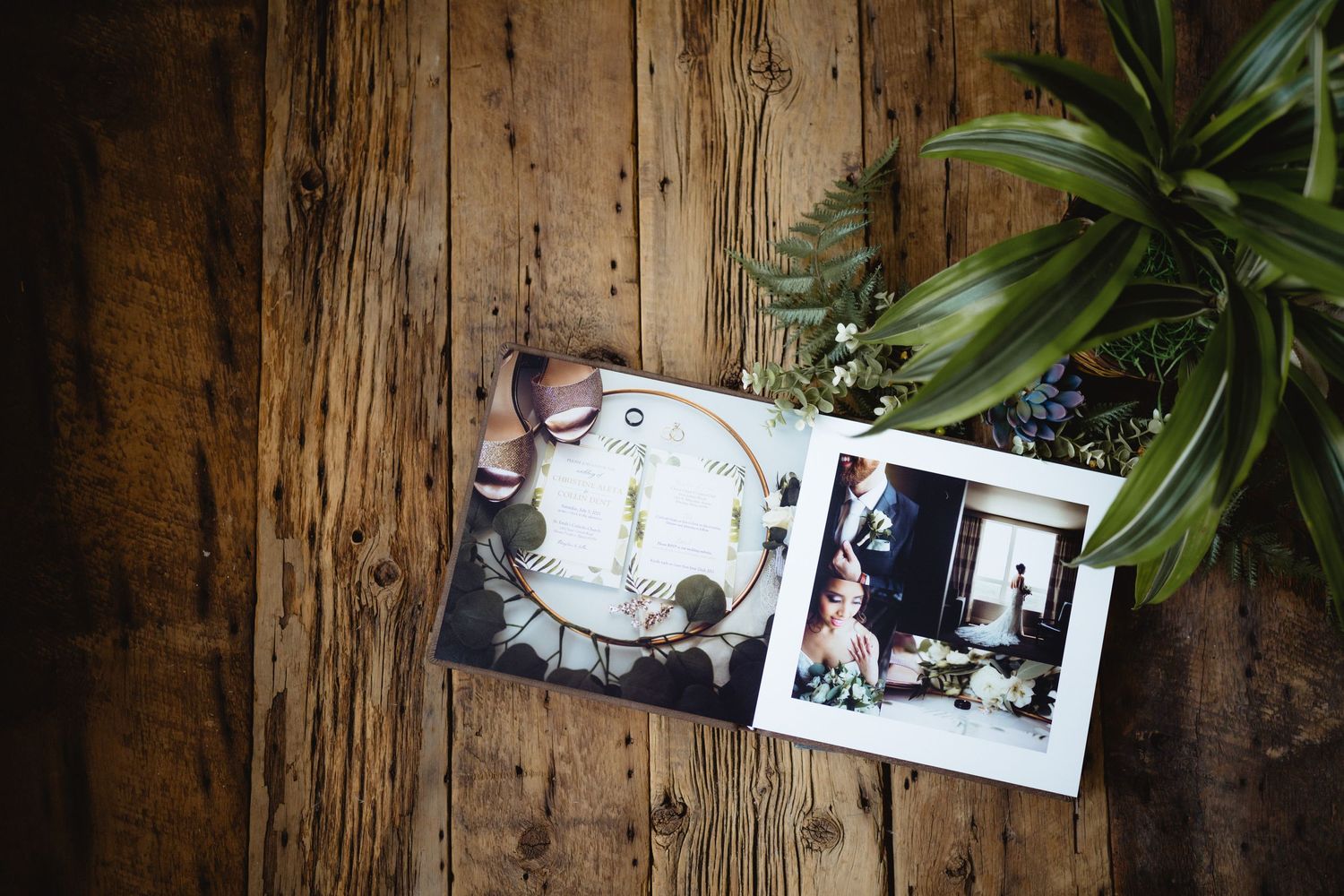 Vintage polaroid photos displayed on rustic wooden surface with green plant.