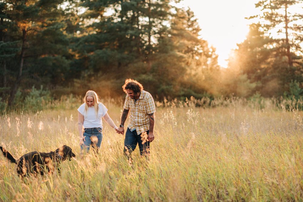 couple walking towards the camera, dogs running around the couple in the field
