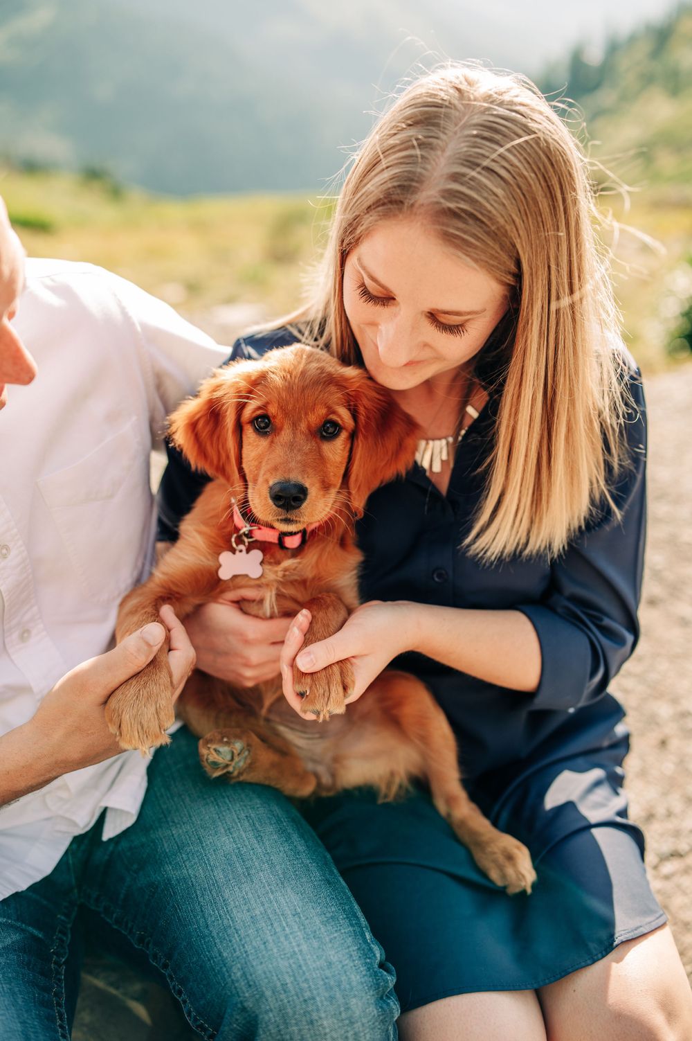 puppy sitting on its owners lap, looking at the camera