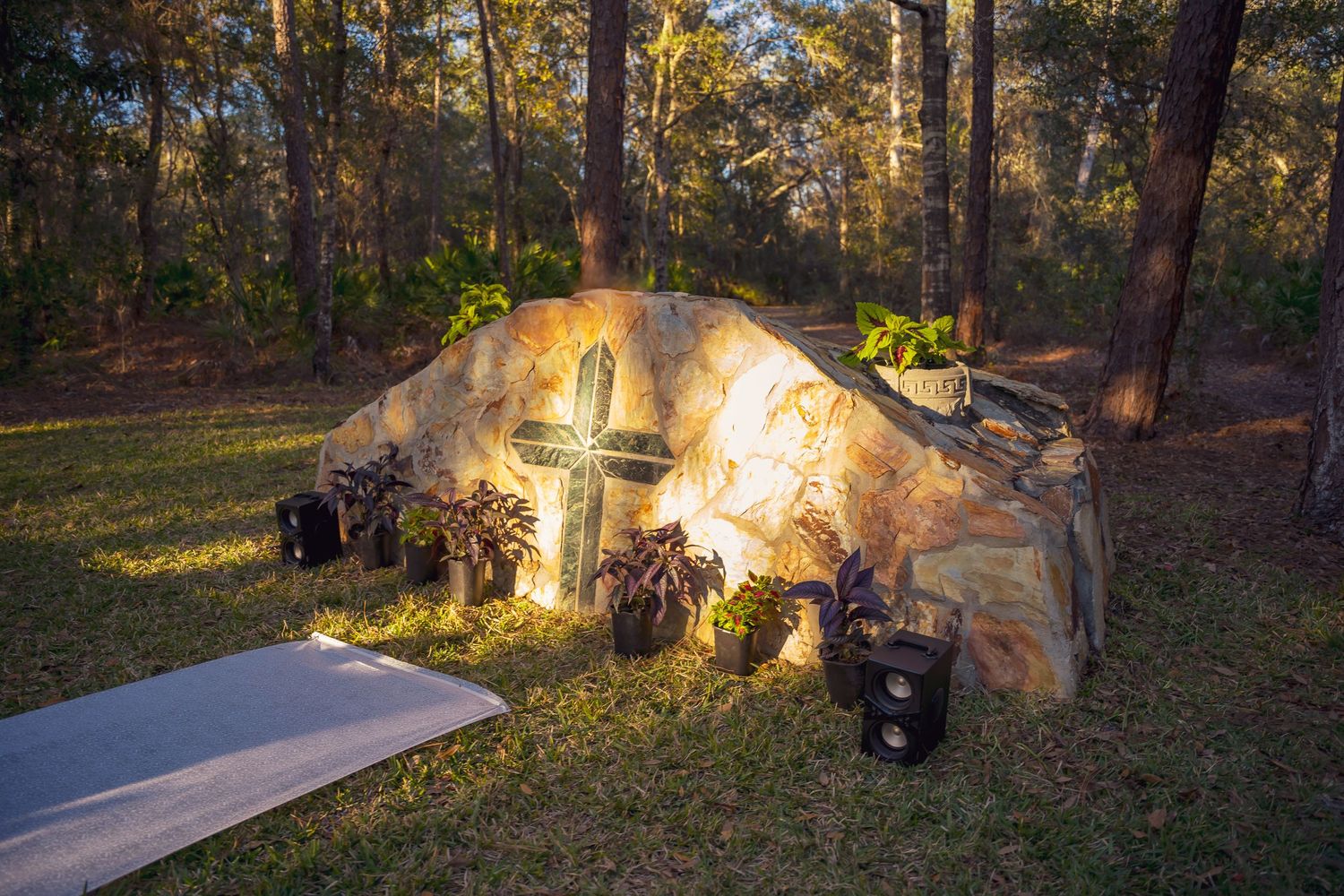 Dreamy sunset light filters through Spanish moss creating a romantic woodland wedding backdrop.