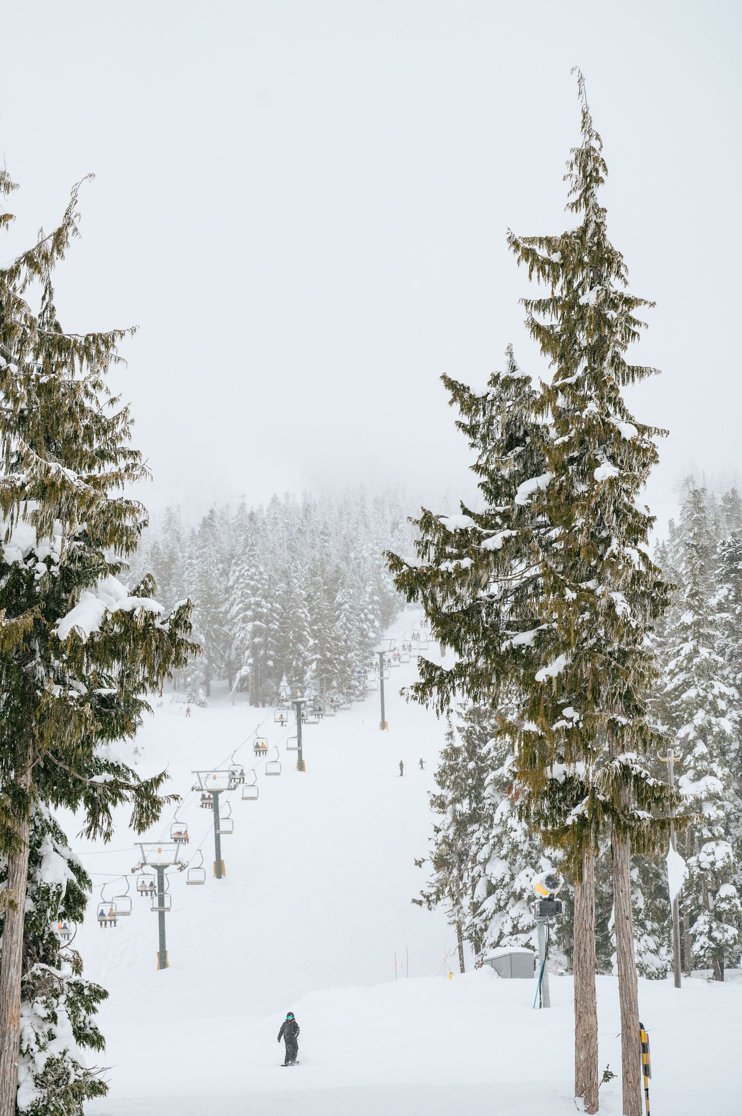 Skiing on Vancouver Island Driftwoods Photography