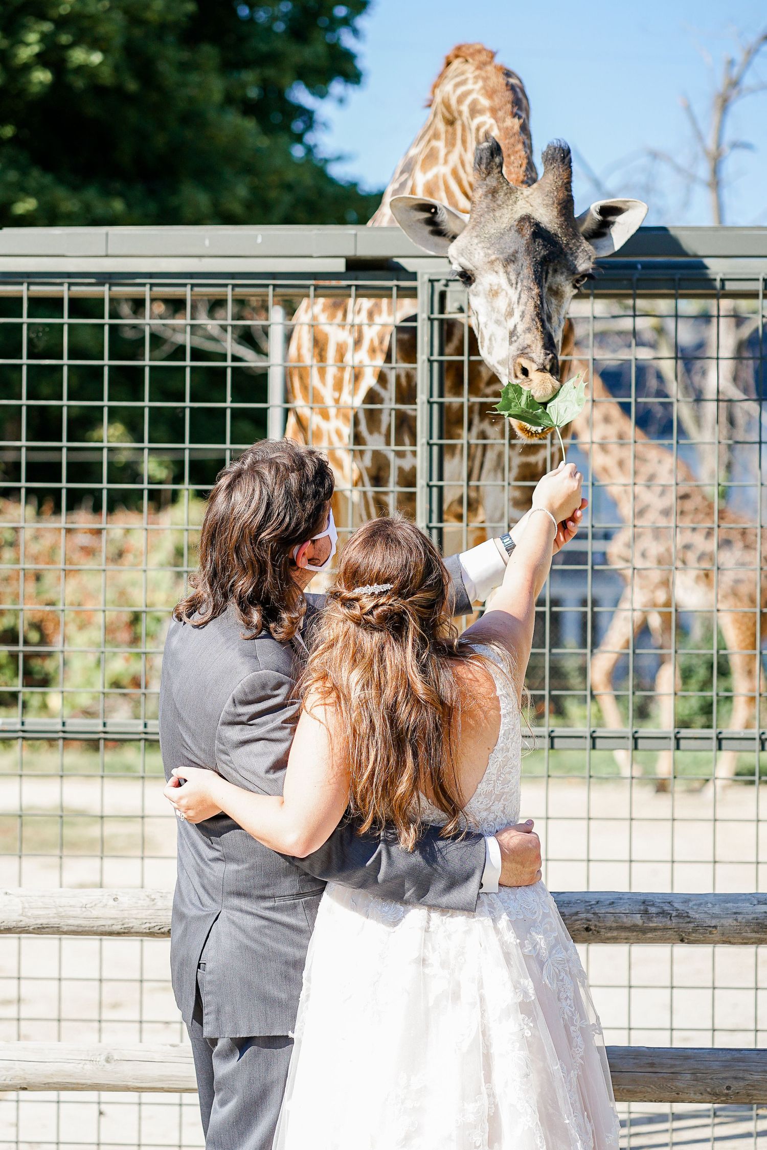 Wedding at Racine Zoo, Racine Wedding Photographer, Zoo Wedding, Wedding at Roma Lodge, Wedding Photos Racine