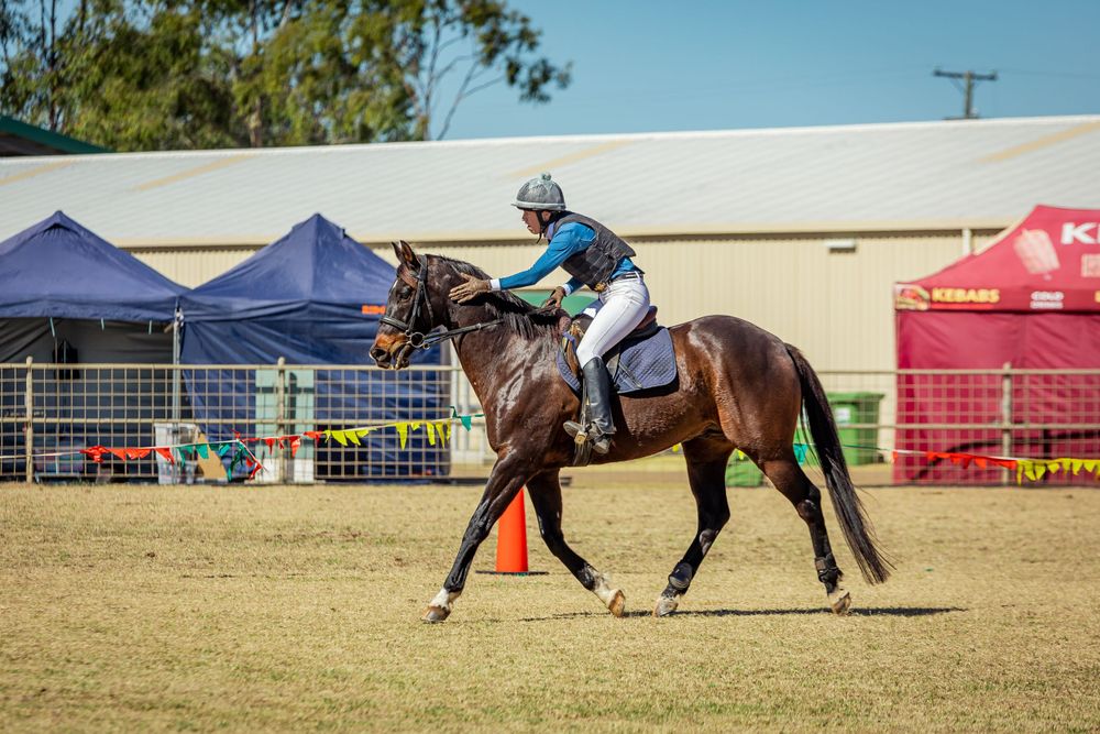 Equestrian in light blue attire riding a brown horse in a show arena with colorful tents in the background.