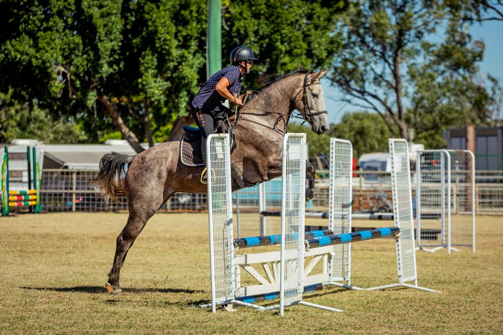 Athletic horse and rider soaring over a blue and white show jumping obstacle.