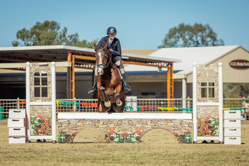 Horse and rider clearing a decorated show jumping fence at an equestrian competition.