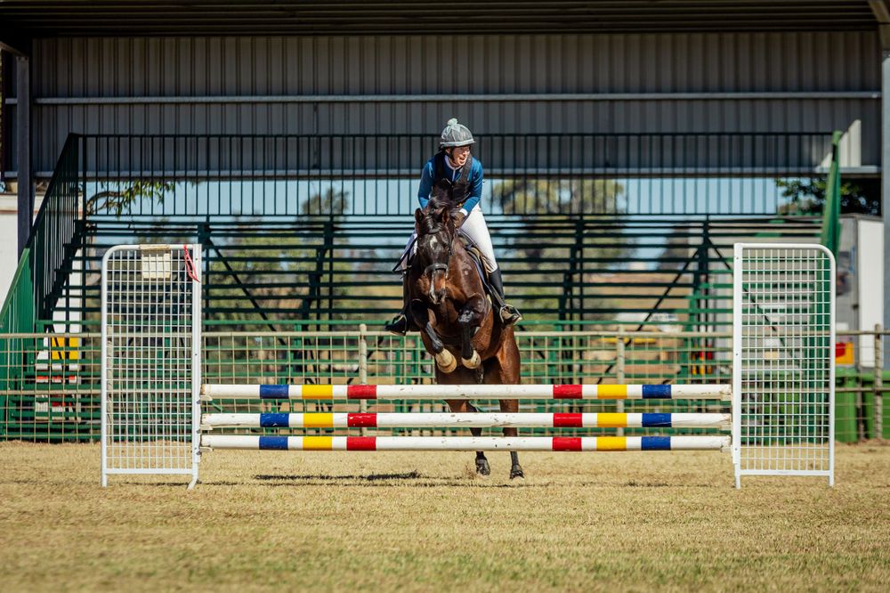 Horse and rider clearing a colorful show jumping course in an indoor arena.
