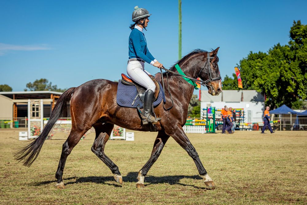 Brown horse and rider performing dressage movements in an outdoor arena.
