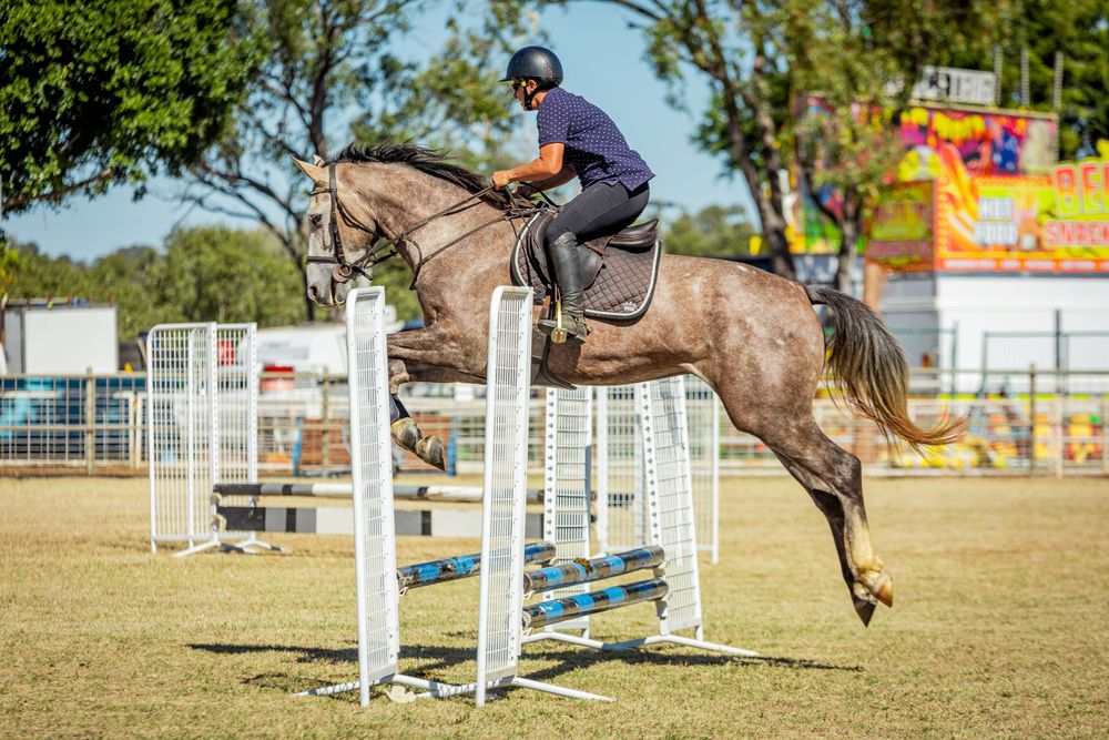 Horse and rider in navy clearing a vertical jump during competition.