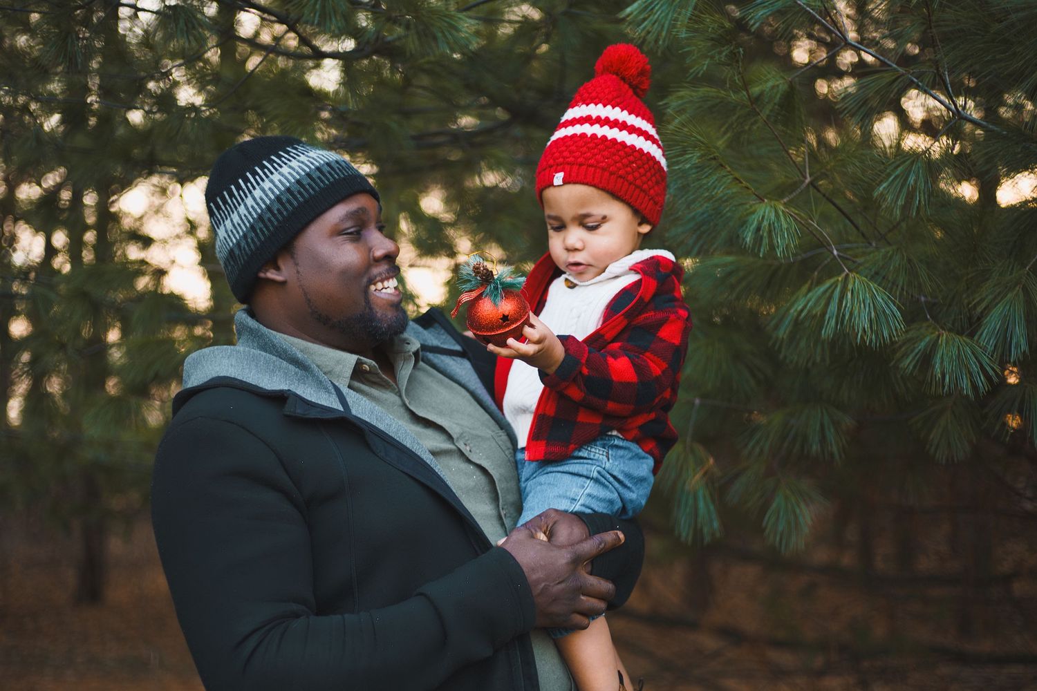 token creek county park deforest madison wi family photography christmas mini session dad holding toddler